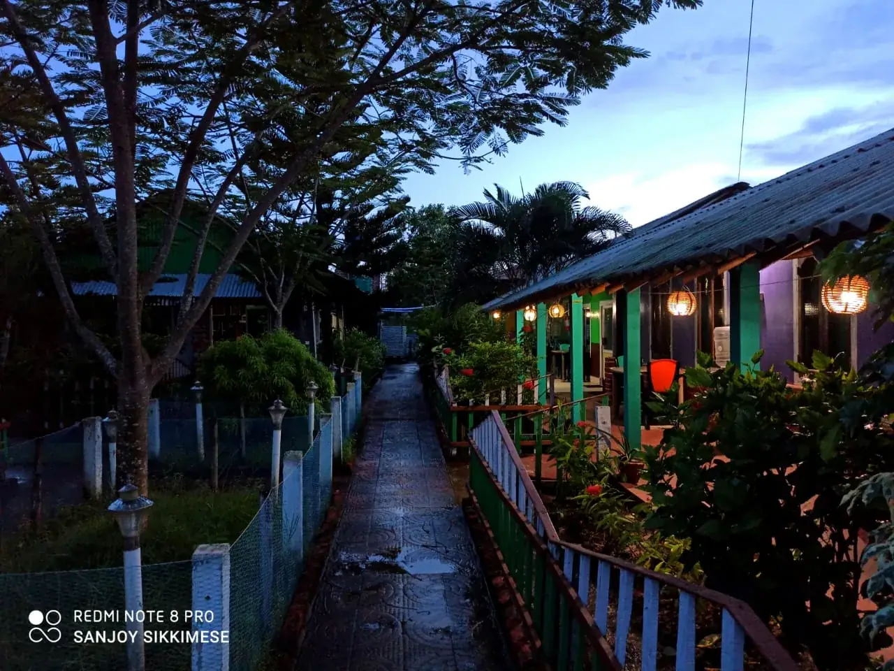 Morning walkway lined with lamp posts through the resort