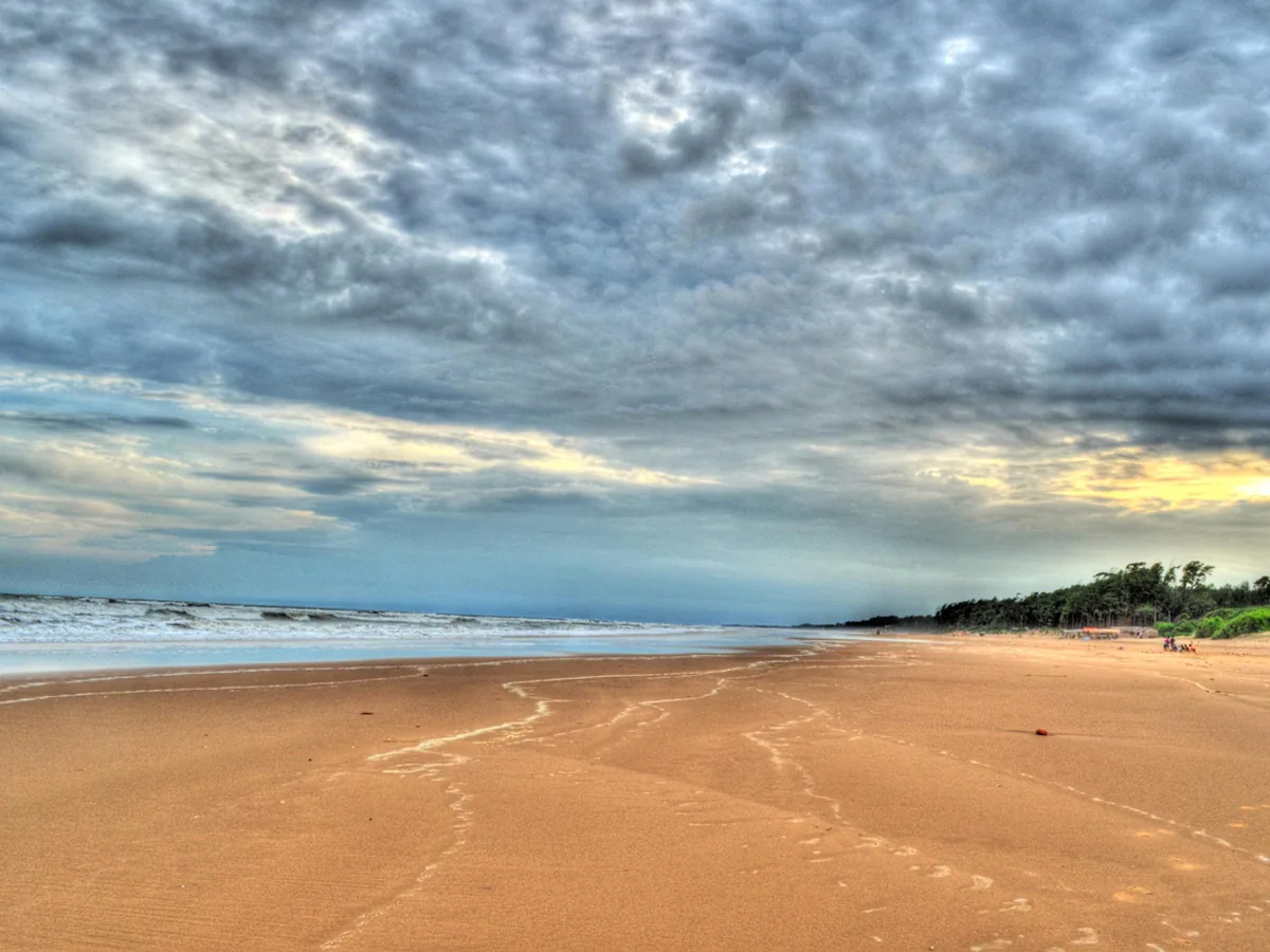 Tajpur Beach shoreline framed by leaning trees